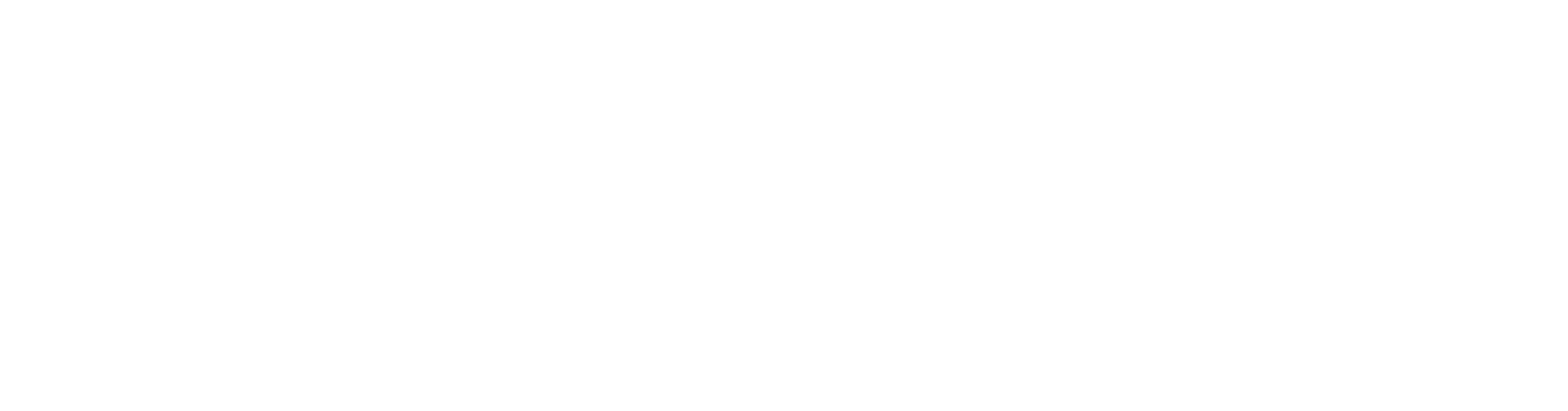 CyberFortress